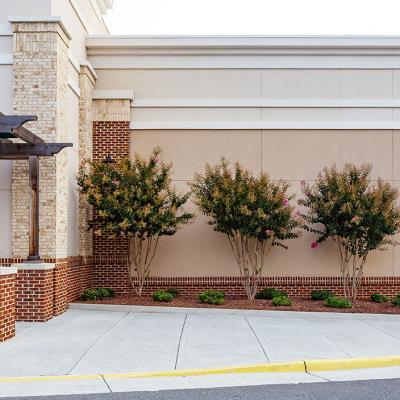 Fresh Market Petco Horizontal 0003