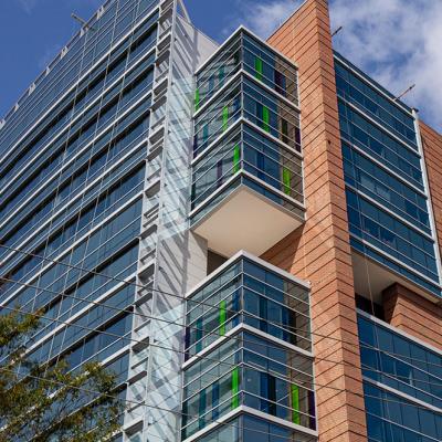Musc Vertical 0000
