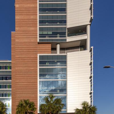 Musc Vertical 0003