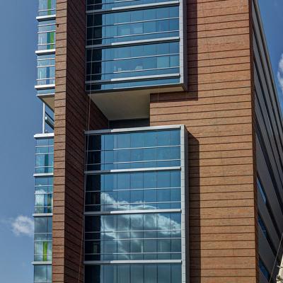 Musc Vertical 0007