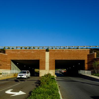 Lu Tunnel Horizontal 0003